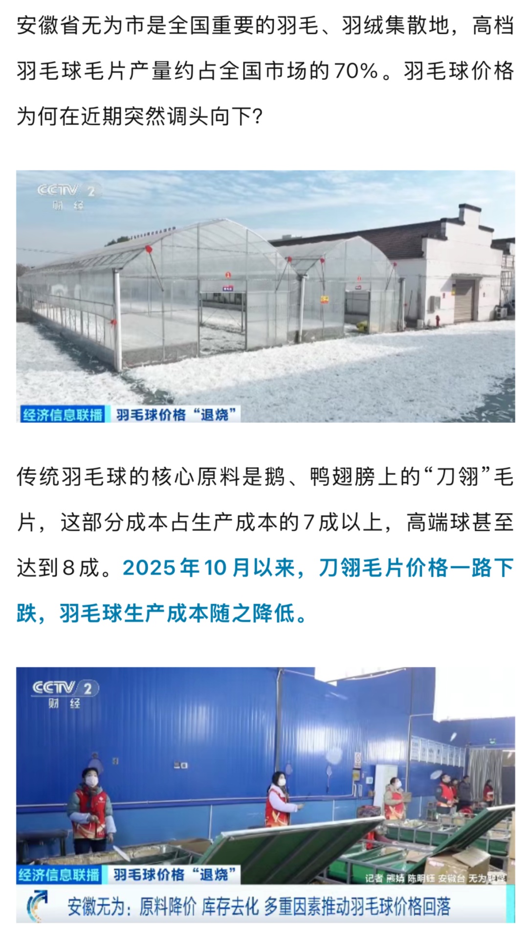 多品牌羽毛球集体降价！