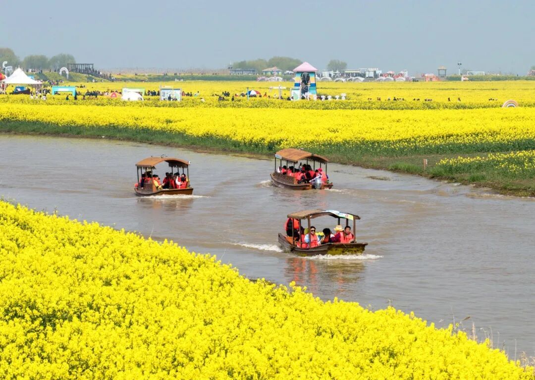 春日经济火成“顶流”，“颜值”如何变成“产值” ？