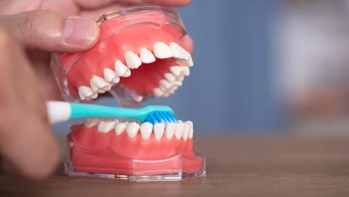 不刷牙睡觉 VS 不刷牙吃早餐，哪个更伤身？