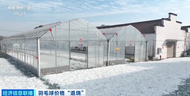 羽毛球市场“降温”？多家主流品牌相继宣布：降价