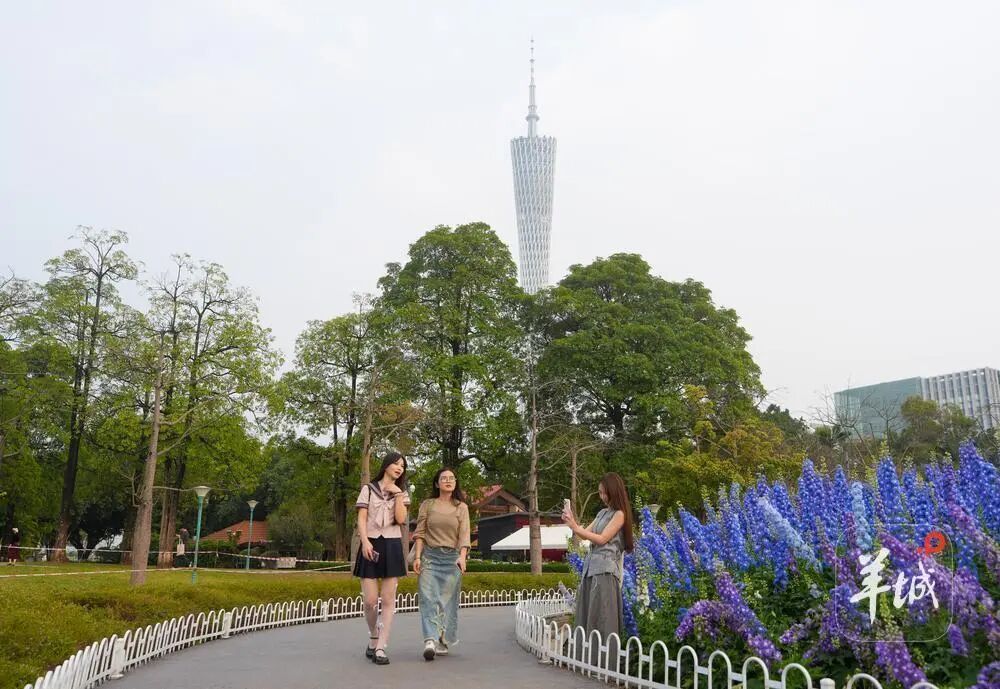 广州何时入夏？或许已在3月19日“入了”