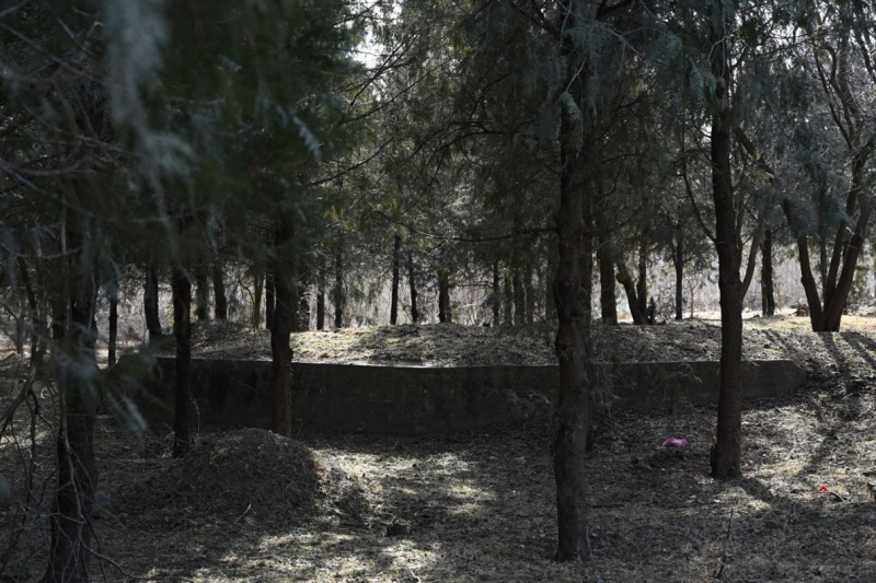 北京丰台这座不起眼的五孔桥，藏着81年前侵华日军的一段秘密