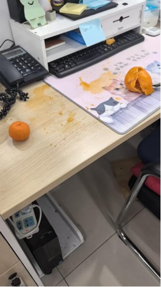 杭州一小区小浣熊出没！居民很苦恼：经常跑出来，还会捣乱……