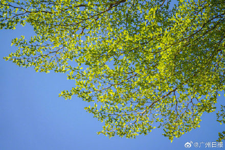 广东今天又有两城官宣入夏：依然没有广州