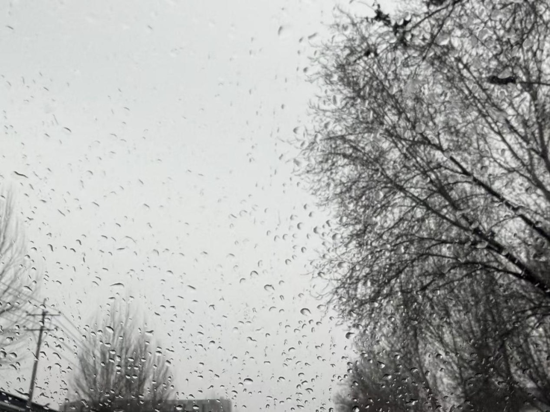 23℃，一秒入春？辽宁本周还有一场全省降雨……