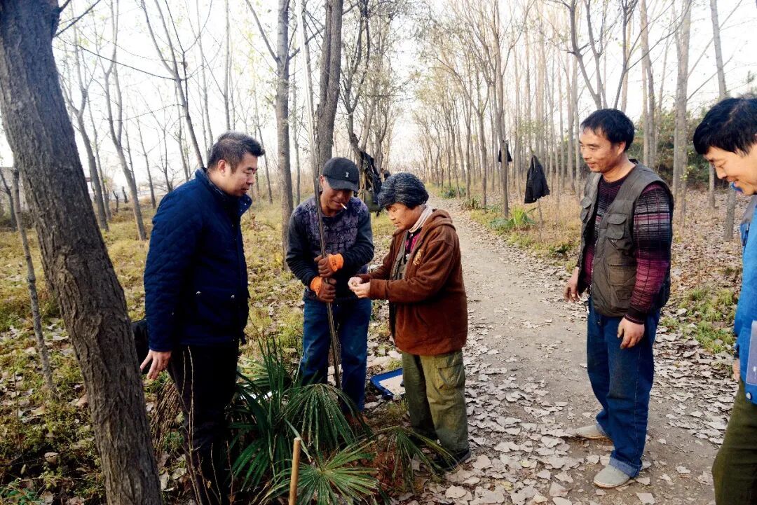 阿房宫没被烧，而且还是座“烂尾楼”