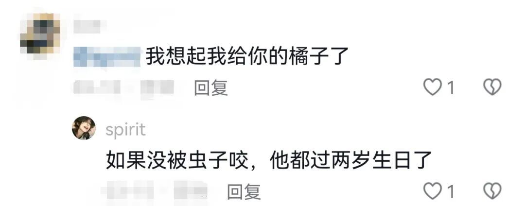 “妈妈冰箱里的酱二十多岁了，正是好年纪”“保质到期前一天我出生了……”