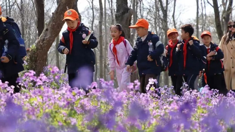 南京首个中小学春假4月启幕 六天连休+多元福利打造春日成长之旅