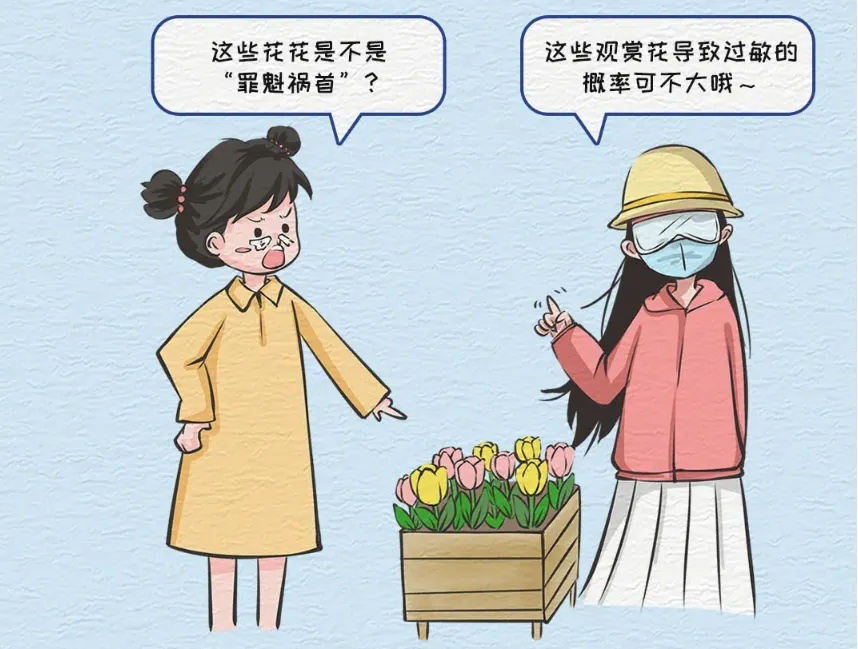 为啥“过敏星人”更需关注天气？花粉浓度与气象条件有何关联？