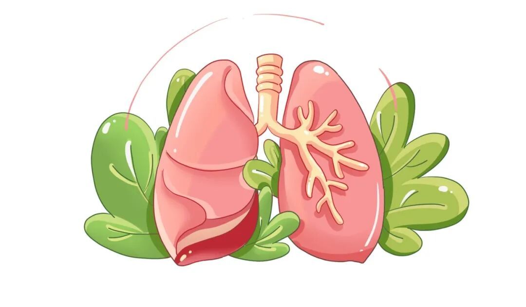 警惕结核潜伏感染，别等发病才重视