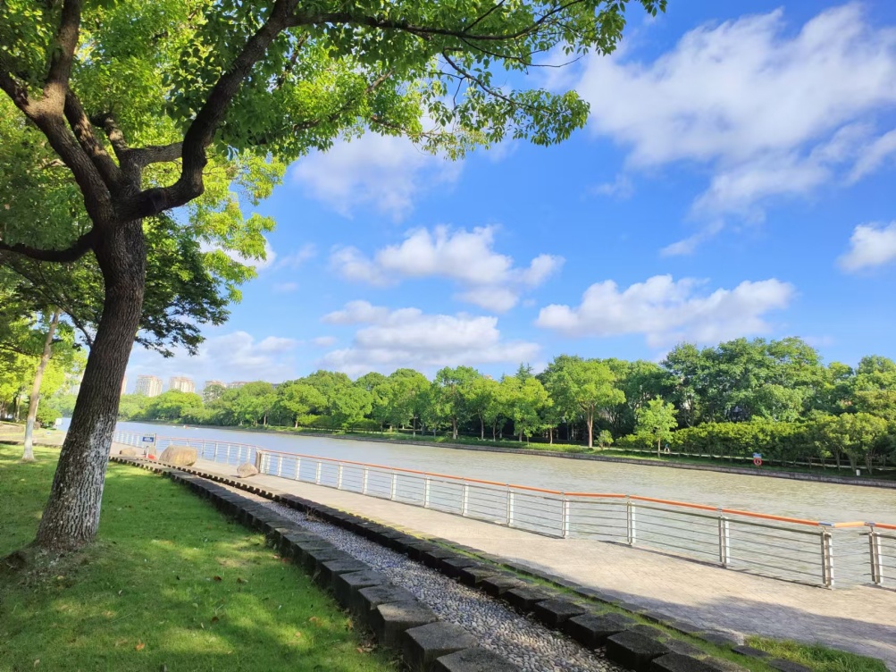 惊心！上海陆家嘴水环现老人野泳，到底安全吗？网友热议