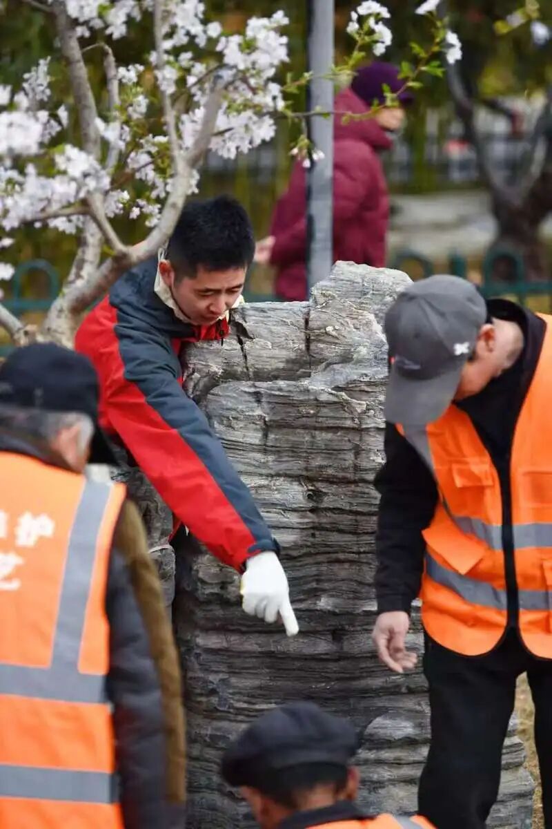 “90后”花匠刘东骏：我在玉渊潭种樱花