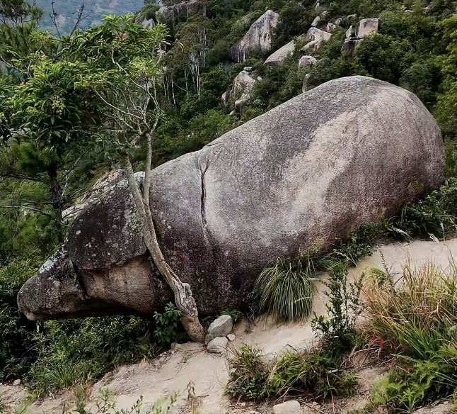 福建霞浦一景区“千年石猪”走红网络，网友：太像二师兄了