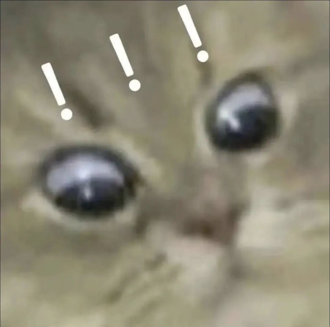 “妈妈冰箱里的酱二十多岁了，正是好年纪”“保质到期前一天我出生了……”