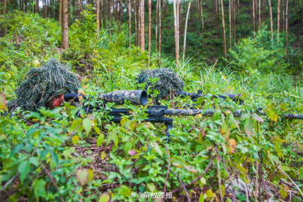 直击武警官兵实战化训练