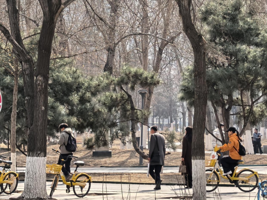 23℃，一秒入春？辽宁本周还有一场全省降雨……