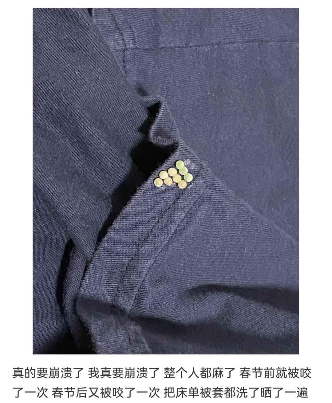 头皮发麻！快检查阳台衣服！这种绿色小颗粒又来了......