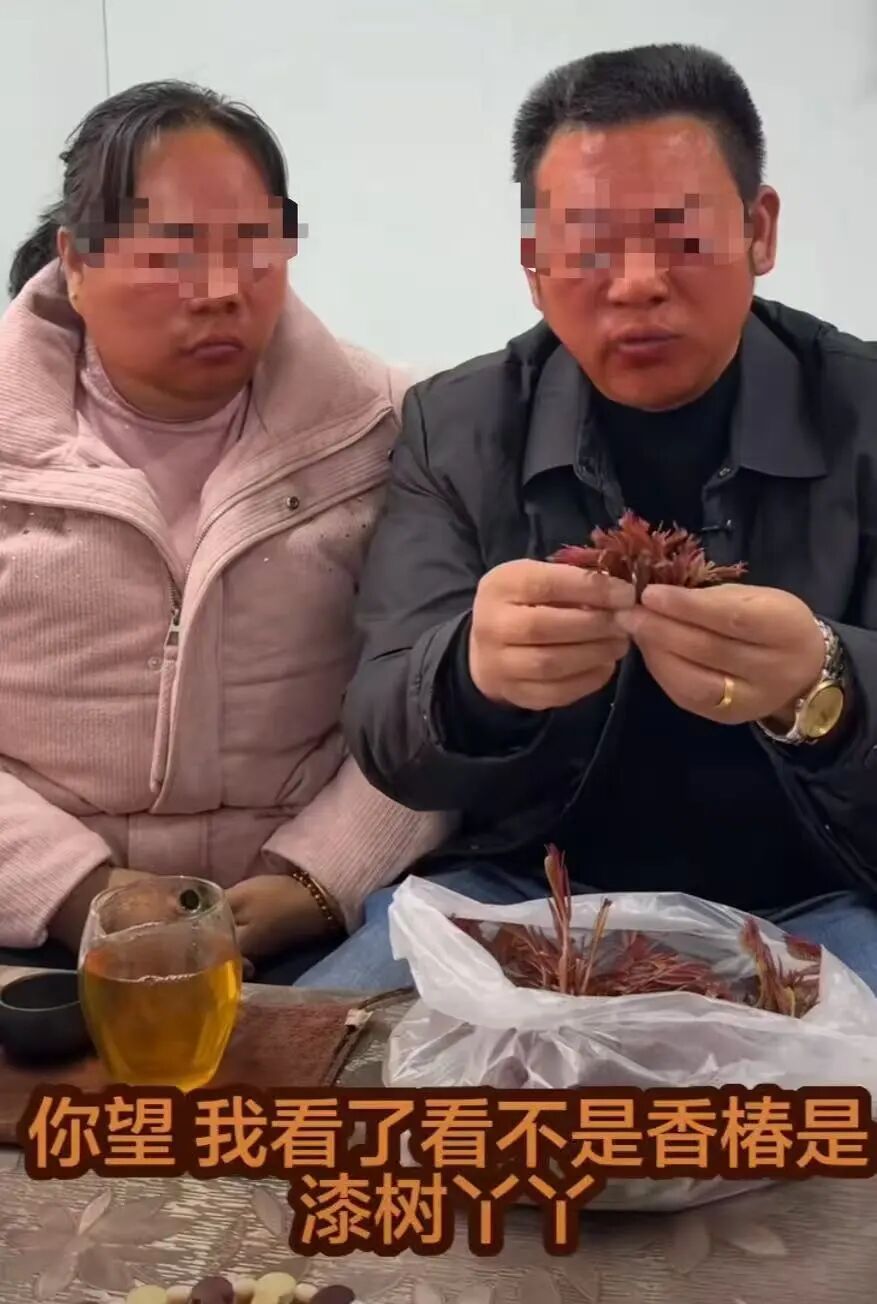 当心！这不是香椿！不要采！不要吃！