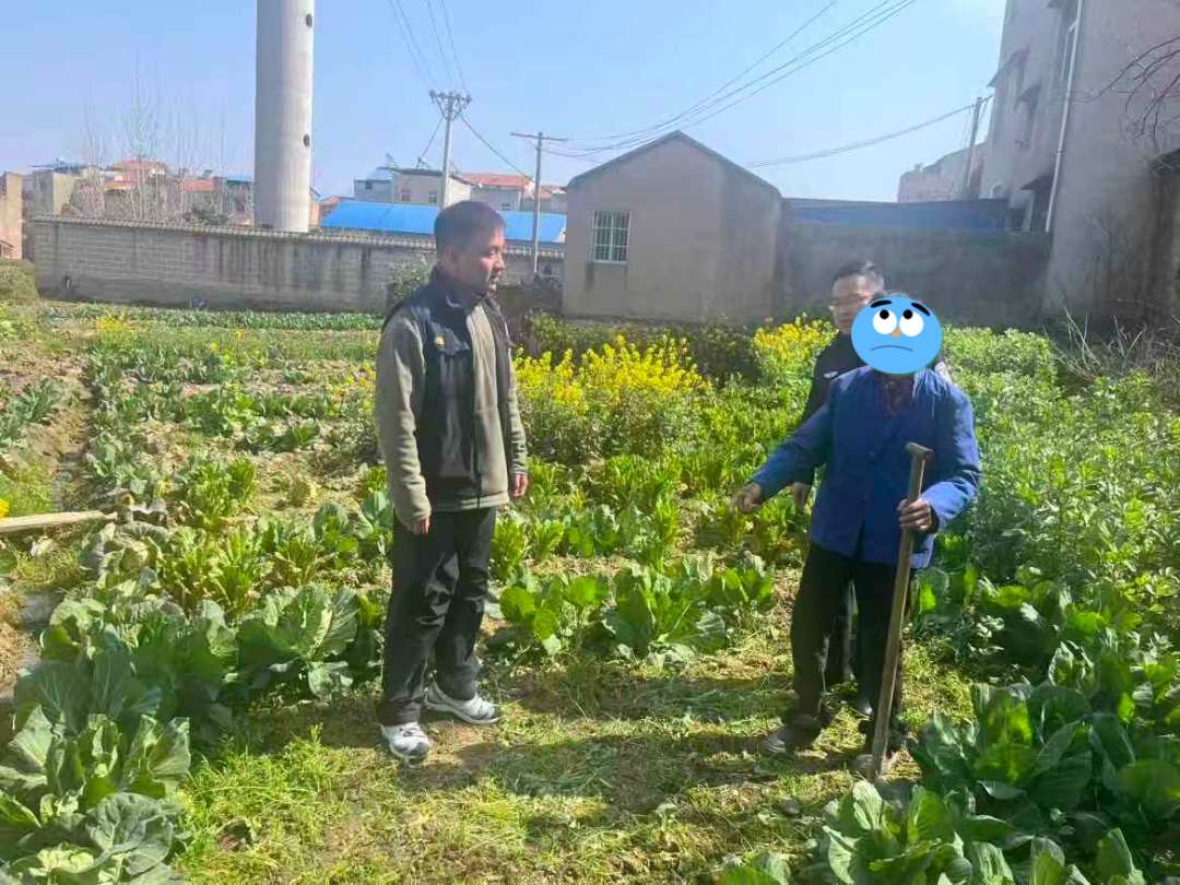 想给饭菜添点“特别滋味”，老人在菜园种下103株罂粟