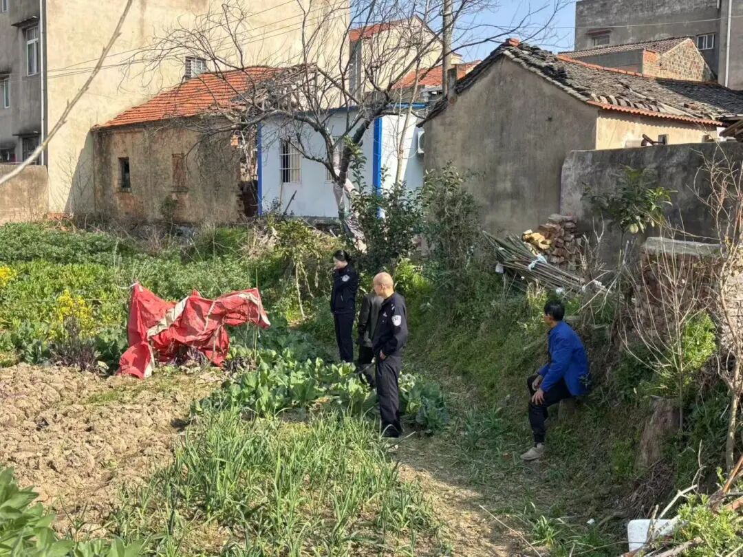 想给饭菜添点“特别滋味”，老人在菜园种下103株罂粟