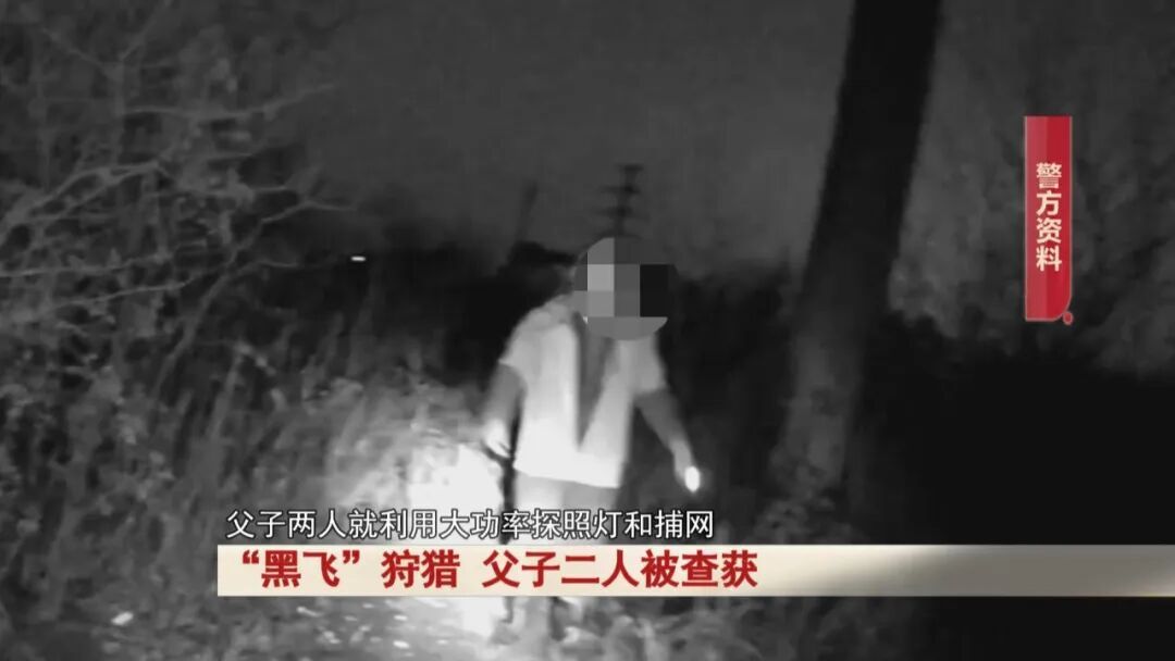 太离谱！父子俩动歪心思，无人机变 “狩猎神器”，二人被采取刑事强制措施