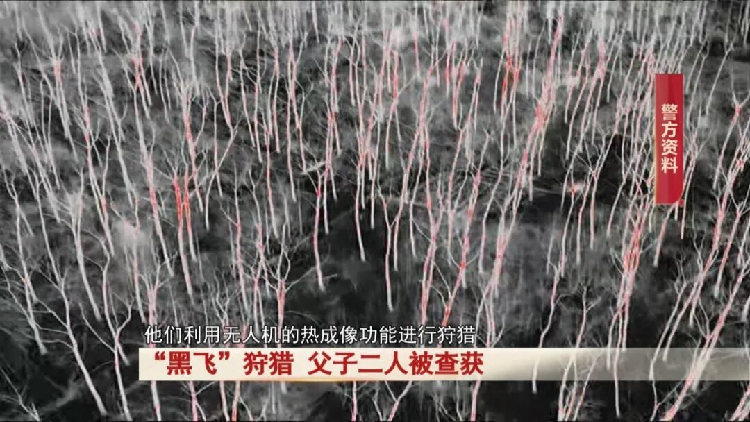 太离谱！父子俩动歪心思，无人机变 “狩猎神器”，二人被采取刑事强制措施