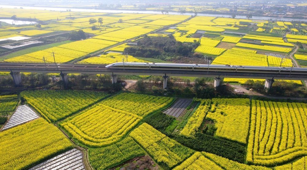 春日经济新图景｜开往春天的列车，一路繁花一路歌！