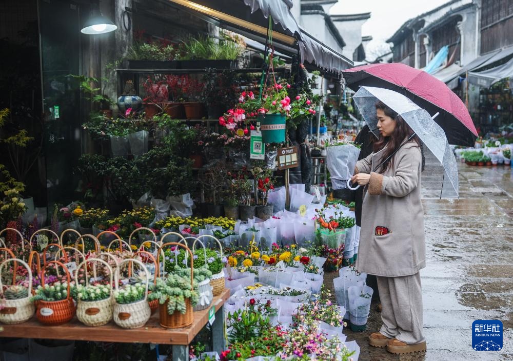 浙江嘉兴：月河古街迎来春日鲜花消费季
