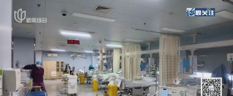 别再跟风“挖野菜”了！上海最近多人中招，被紧急送医