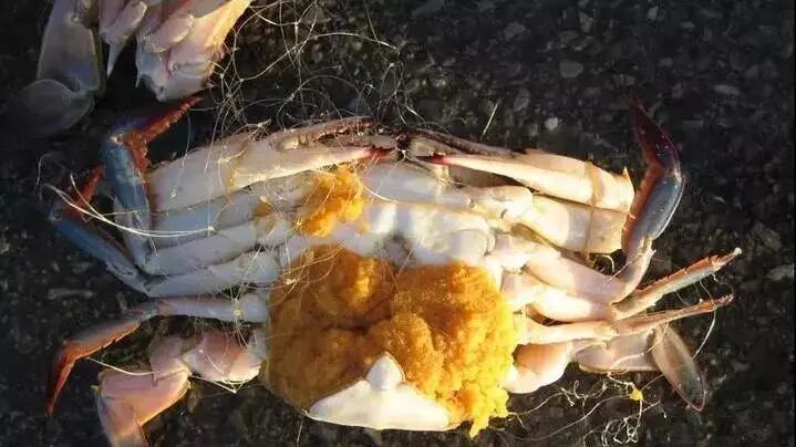 4月1日12时起，浙江全面禁止！