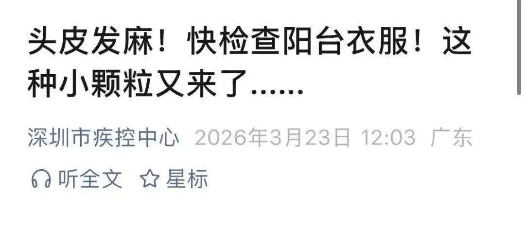 头皮发麻！快检查阳台衣服！这种绿色小颗粒又来了