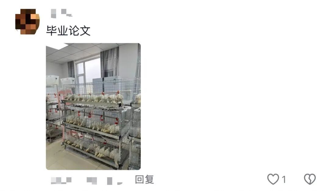 谁的毕业设计跑出来了？！（咯咯哒）在线等，挺急的！（咯咯哒）