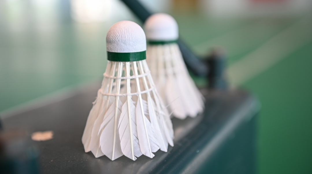 多家主流品牌相继宣布：降价！网友：终于等到了