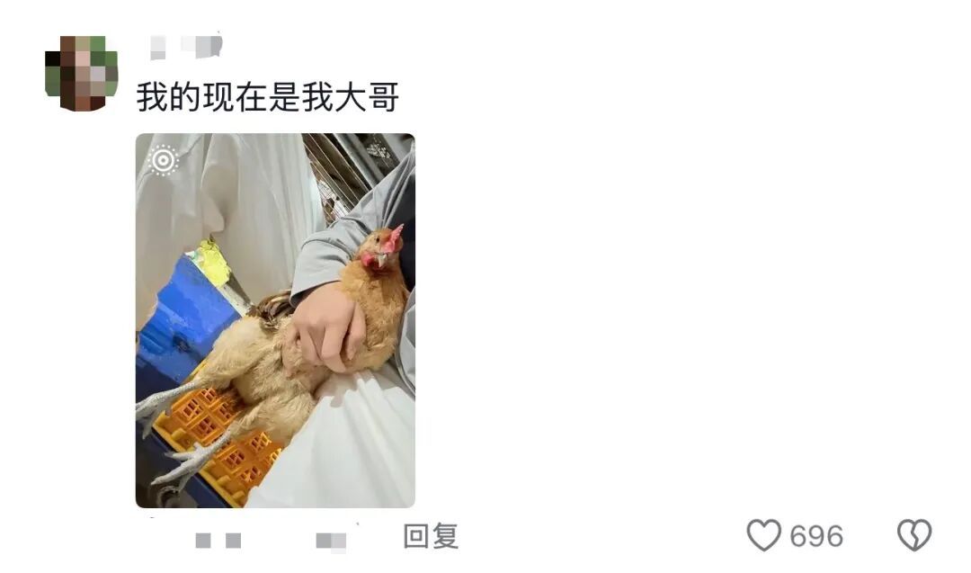 谁的毕业设计跑出来了？！（咯咯哒）在线等，挺急的！（咯咯哒）