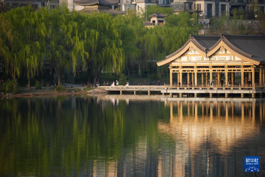 曲江池畔春意盎然