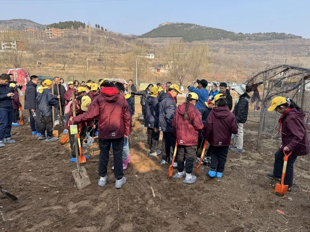 “共享菜园”为啥火了？