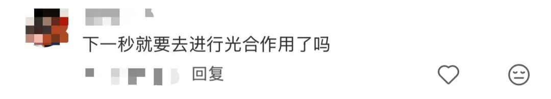 “妈妈这个汤好像有点‘中毒’了……”“我爸已经沉浸在自己优美的摆盘里了”