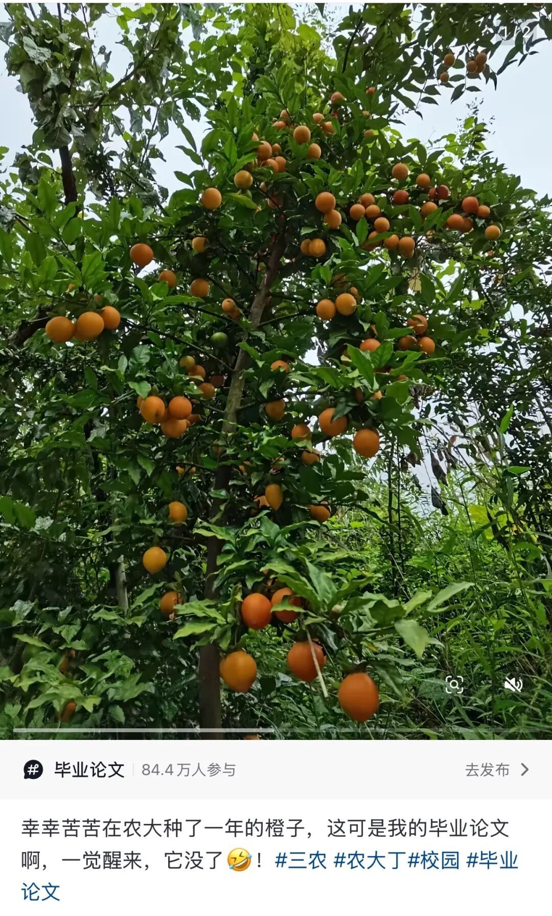 谁的毕业设计跑出来了？！（咯咯哒）在线等，挺急的！（咯咯哒）