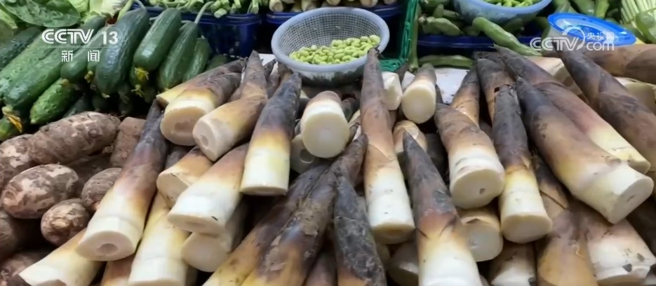 春季消费市场“春鲜”热潮涌动 “春日经济”活力十足