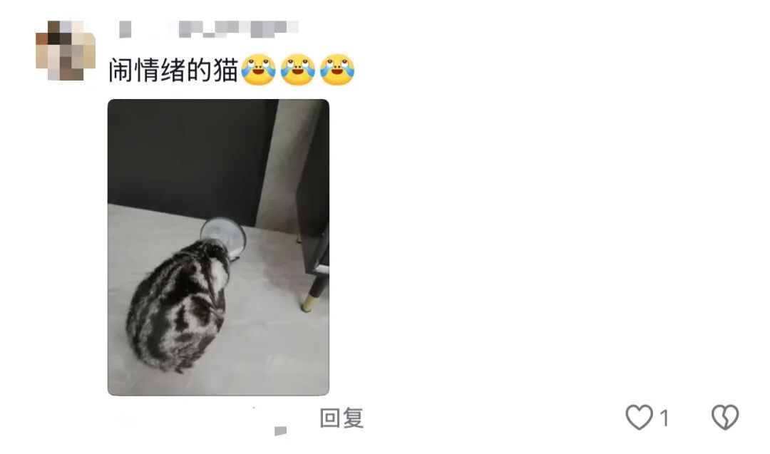 谁的毕业设计跑出来了？！（咯咯哒）在线等，挺急的！（咯咯哒）