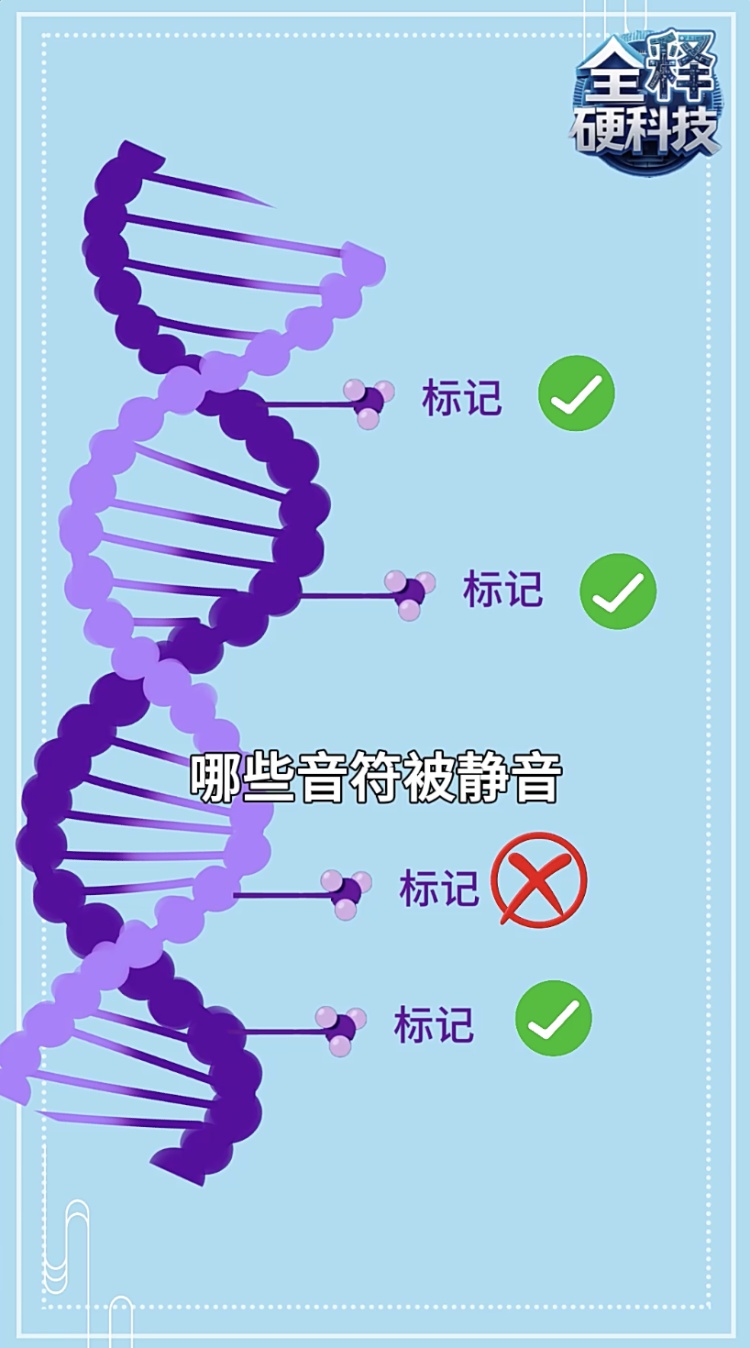 颠覆认知！怀孕大鼠接触杀菌剂，健康影响竟延续至少20代