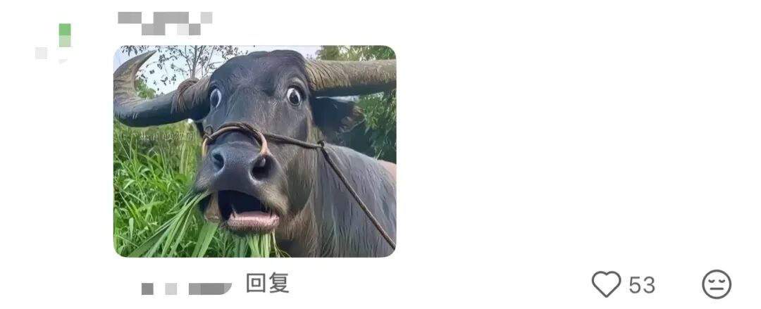 “妈妈这个汤好像有点‘中毒’了……”“我爸已经沉浸在自己优美的摆盘里了”