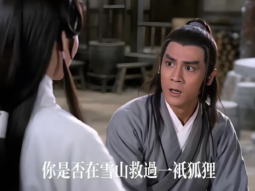 你是否在雪山救过一只狐狸