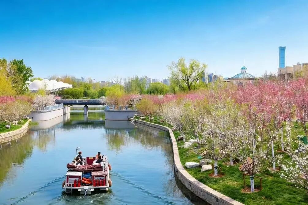 花开京城万物新｜一船春色两岸花开，来亮马河找春天