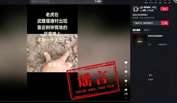 重庆一地出现老虎？当地回应