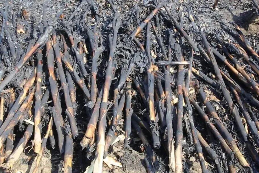 春耕莫烧荒！村民违规烧荒致多趟列车停运 被拘7天