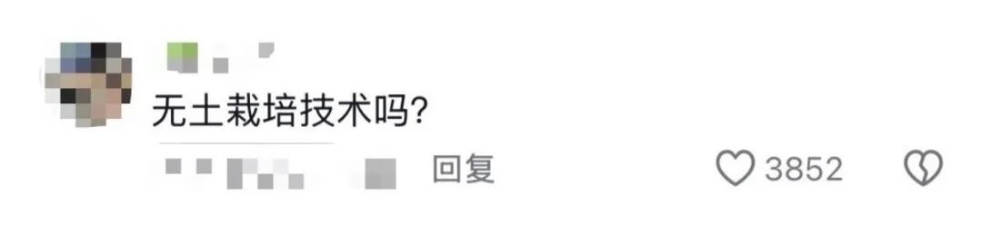 谁的毕业设计跑出来了？！（咯咯哒）在线等，挺急的！（咯咯哒）