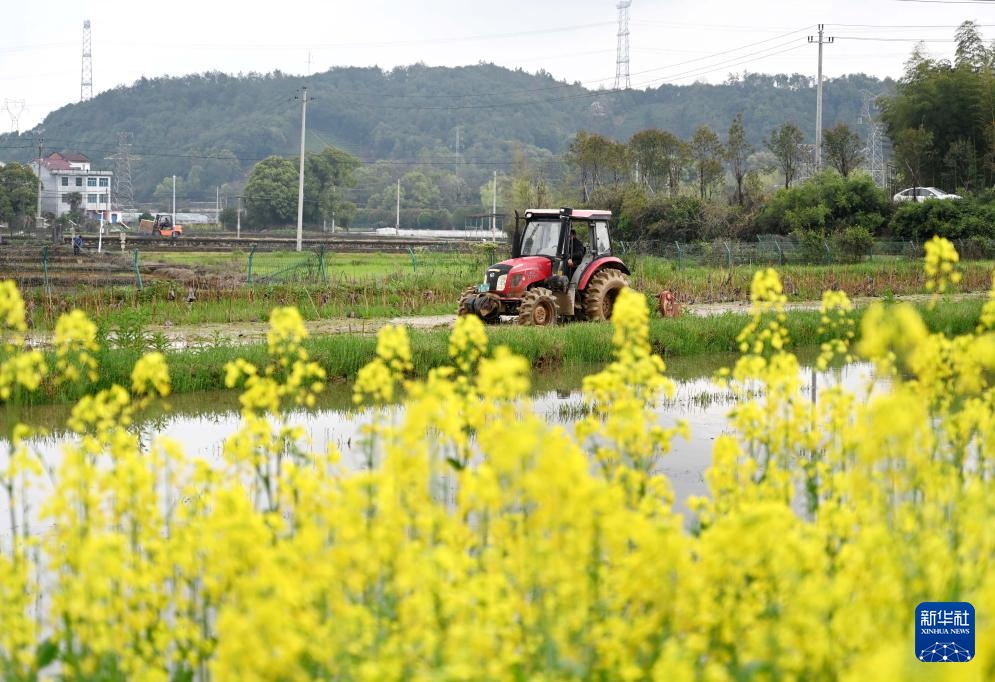 春风和煦耕作忙 春风和煦耕作忙