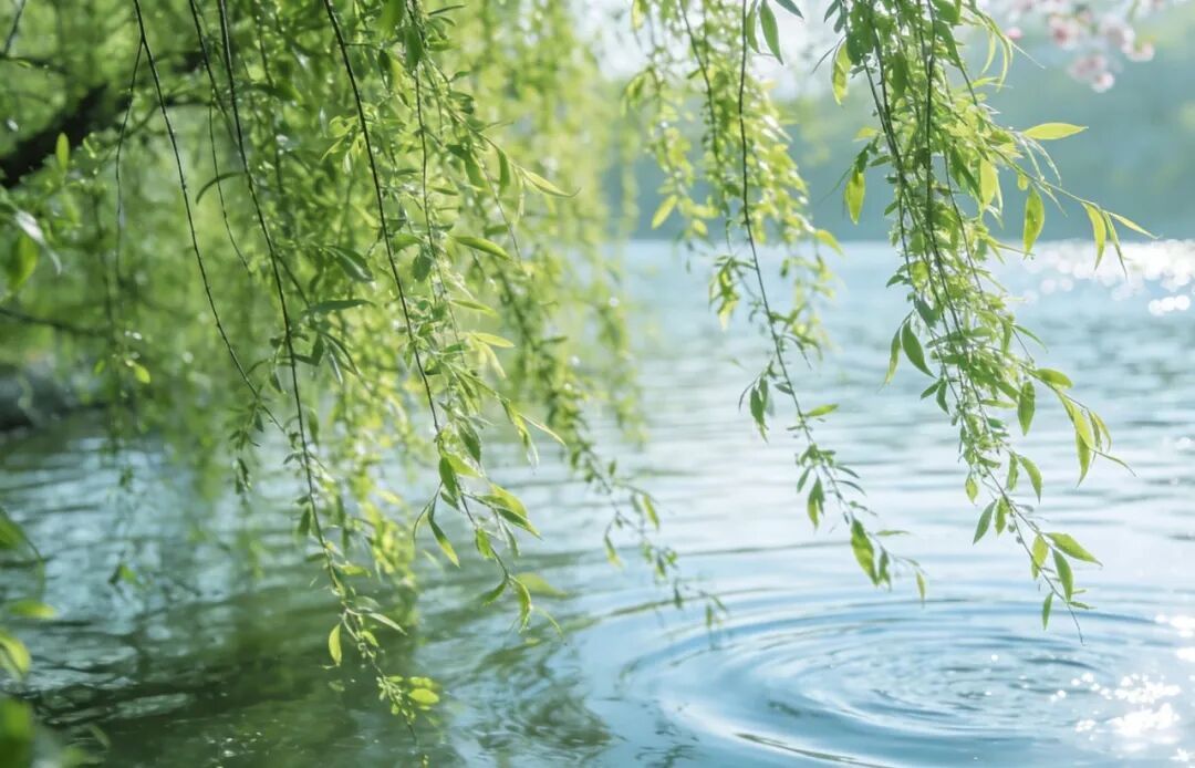 补钙“黄金期” 春天建议你这样吃！