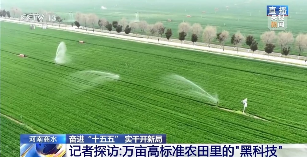 足不出户开展春管 探访万亩农田里的“智慧之眼”